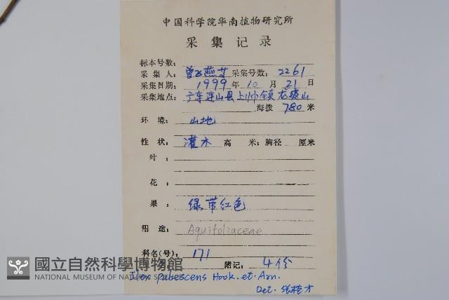 Downy holly, Hairy-branched holly Collection Image, Figure 2, Total 2 Figures