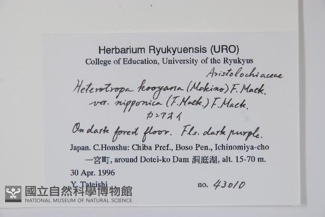 登錄號:S051223藏品圖，第2張