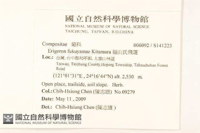 福山氏飛蓬藏品圖，第2張