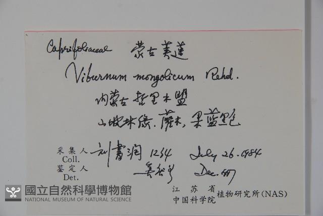 蒙古莢迷藏品圖，第2張