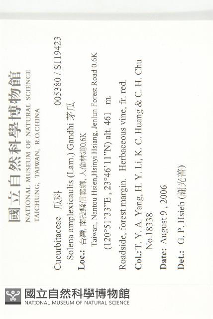 茅瓜藏品圖，第2張