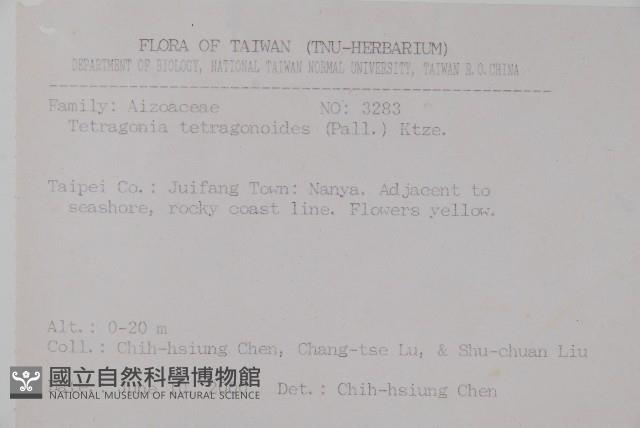 番杏藏品圖，第2張