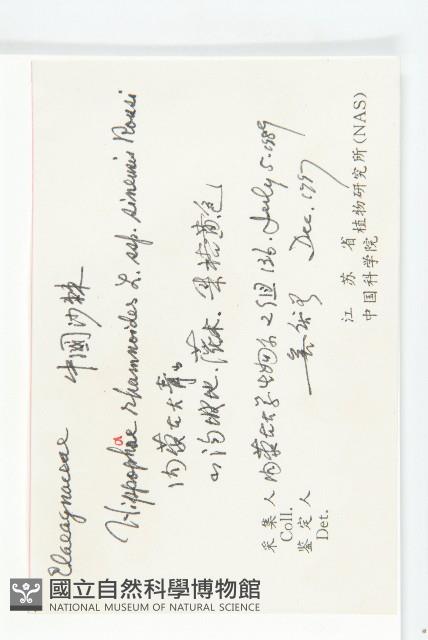 醋柳藏品圖，第2張