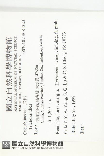 登錄號:S081323藏品圖，第2張