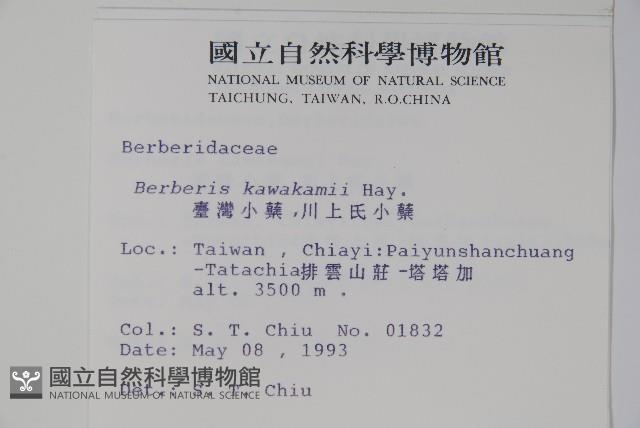 臺灣小蘗藏品圖，第2張