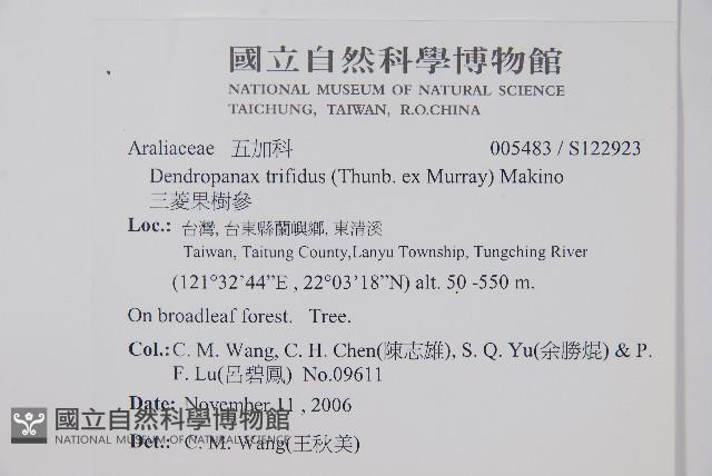 三菱果樹參藏品圖，第2張