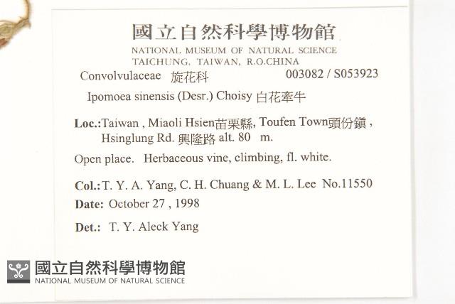 美麗馬醉木藏品圖，第2張