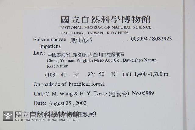 登錄號:S082923藏品圖，第2張