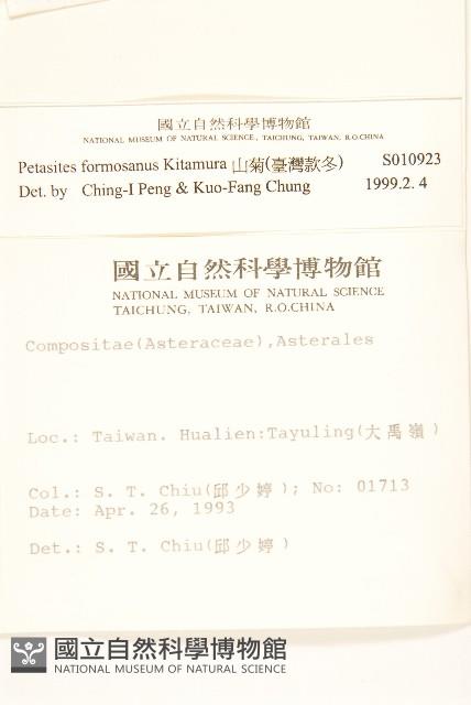 臺灣款冬藏品圖，第2張