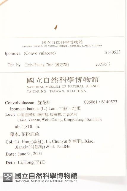 登錄號:S140523藏品圖，第2張