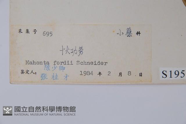 十大功勞藏品圖，第2張