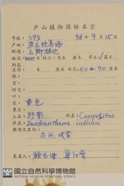 油菊、野菊藏品圖，第2張