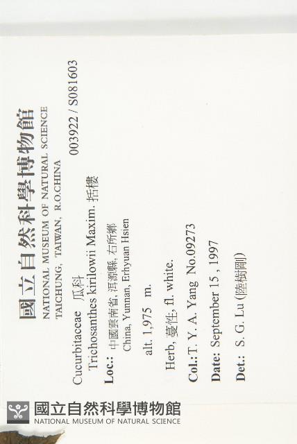 括樓藏品圖，第2張