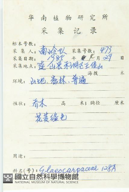 薯豆藏品圖，第2張