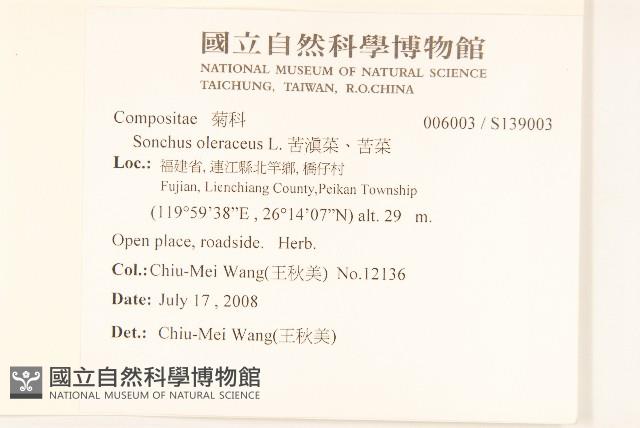 苦滇菜、苦菜藏品圖，第2張