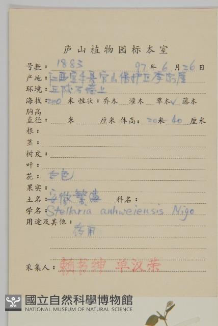 安徽繁縷藏品圖，第2張