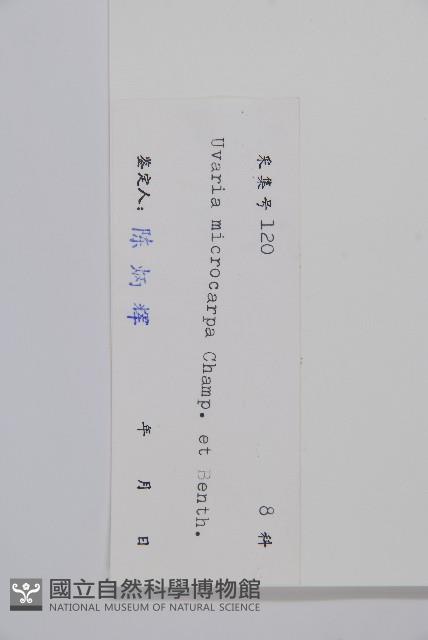 紫玉盤藏品圖，第2張