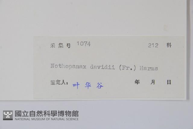 異葉梁王茶藏品圖，第2張