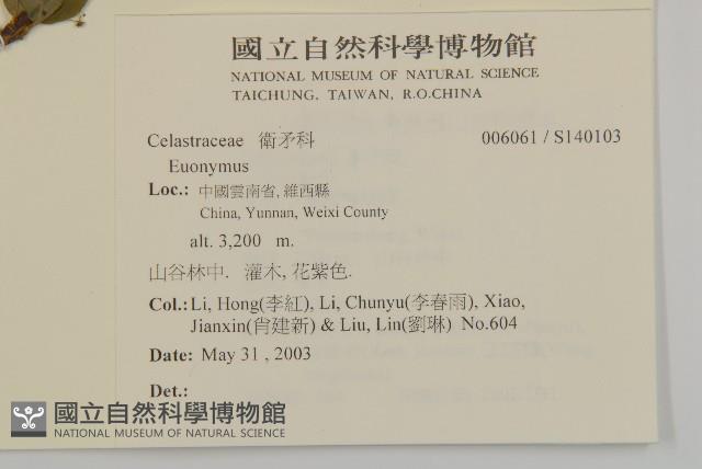 登錄號:S140103藏品圖，第2張