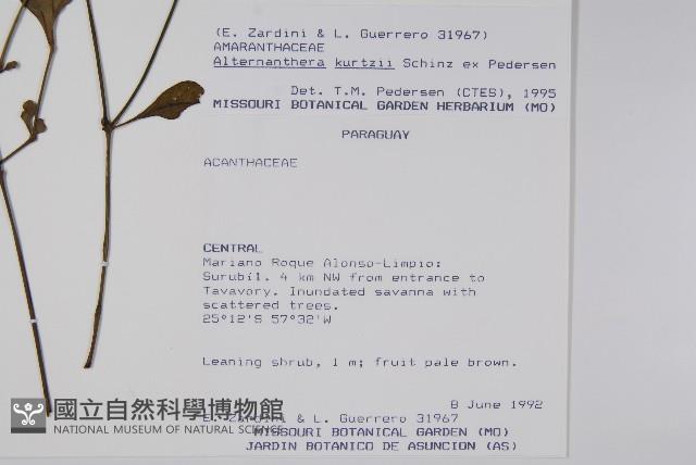 登錄號:S062303藏品圖，第2張