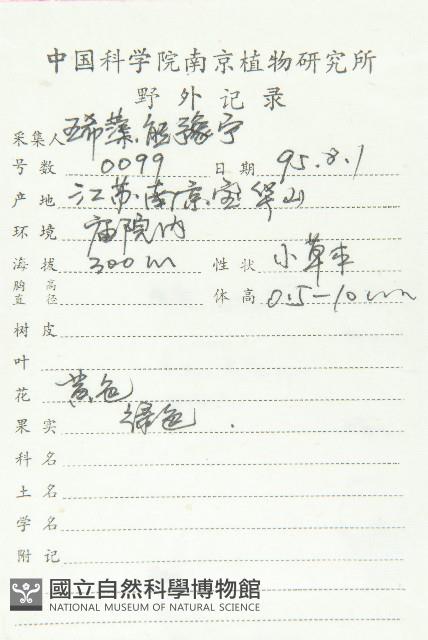 葶藶藏品圖，第2張