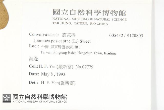 登錄號:S120803藏品圖，第2張