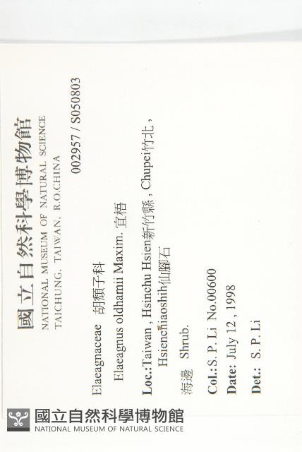 宜梧藏品圖，第2張