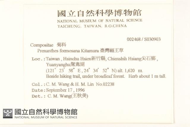 臺灣福王草藏品圖，第2張