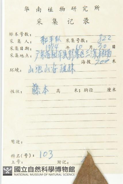 登錄號:S038503藏品圖，第2張