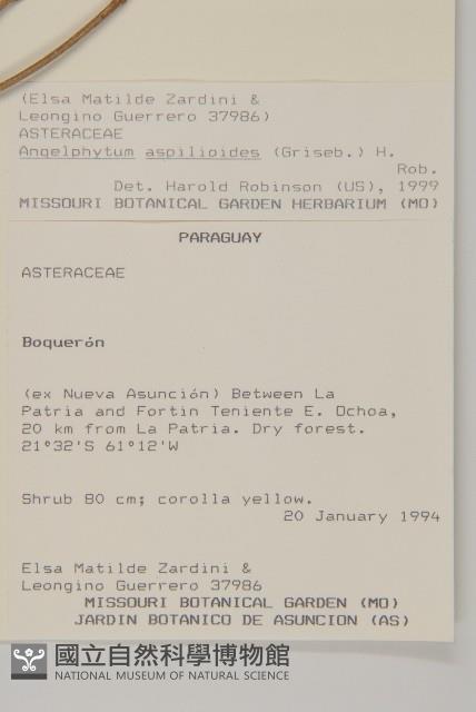 登錄號:S080613藏品圖，第2張