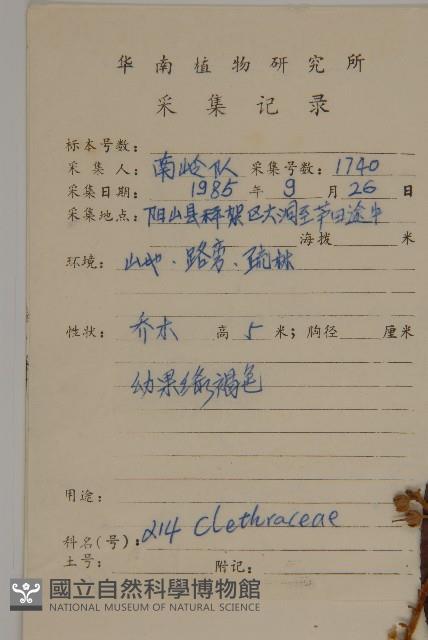 大葉山柳藏品圖，第2張