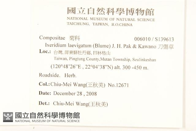 刀傷草藏品圖，第2張