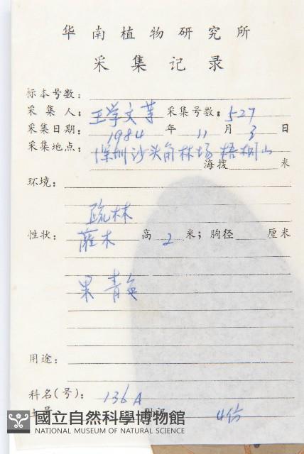 牛耳楓藏品圖，第2張