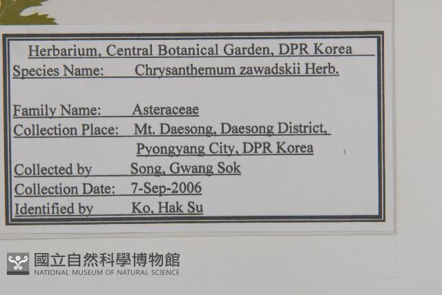 山菊藏品圖，第2張