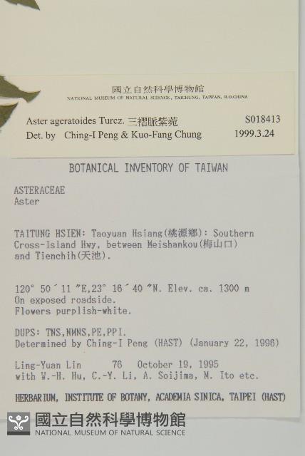 山白蘭藏品圖，第2張