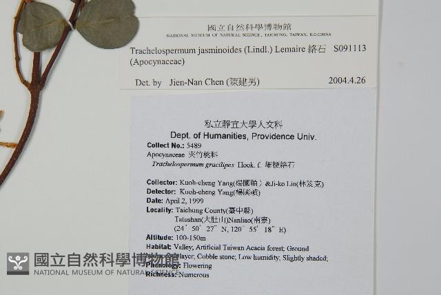 絡石藏品圖，第2張