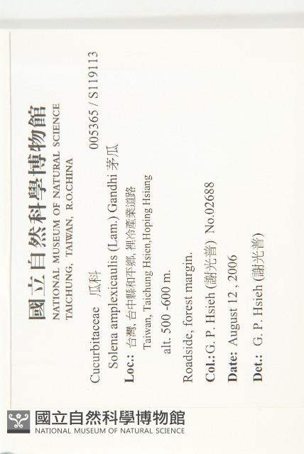 茅瓜藏品圖，第2張