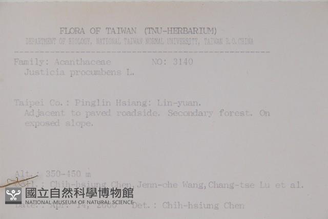 爵床藏品圖，第2張