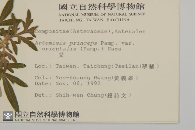 中南蒿藏品圖，第2張