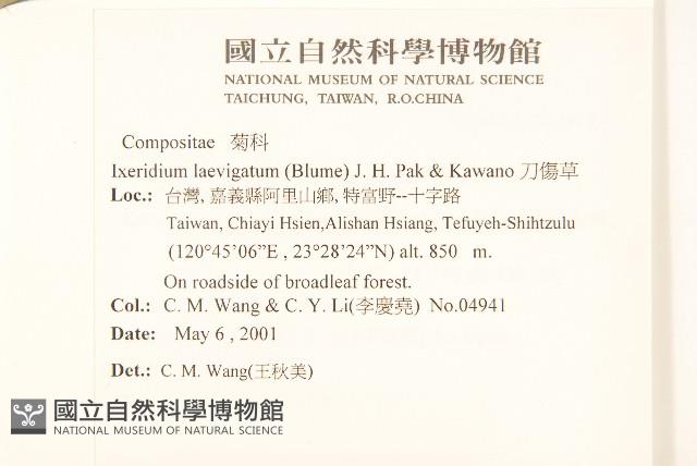 刀傷草藏品圖，第2張