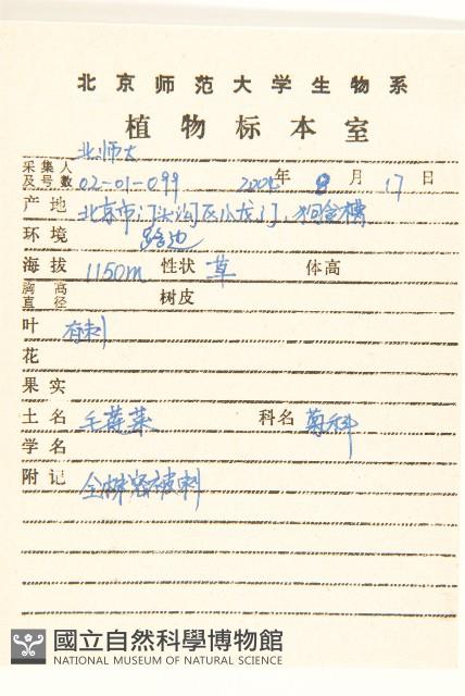 毛蓮菜藏品圖，第2張