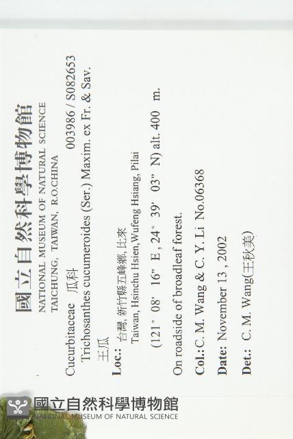 王瓜藏品圖，第2張