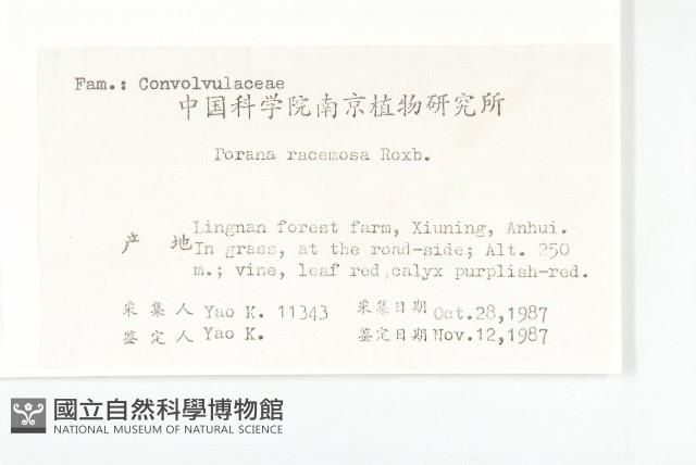 登錄號:S021653藏品圖，第2張