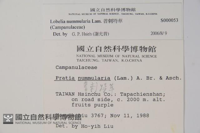 普刺特草藏品圖，第2張