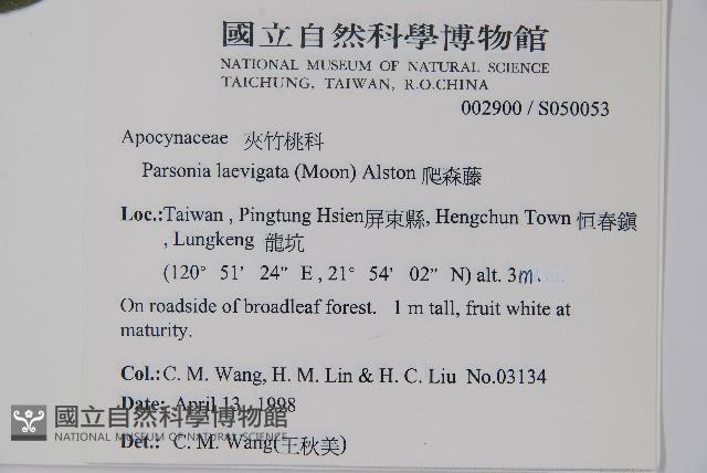 爬森藤藏品圖，第2張