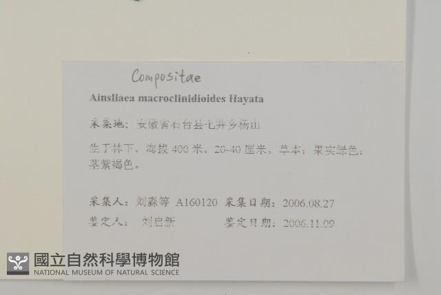 阿里山鬼督郵藏品圖，第2張