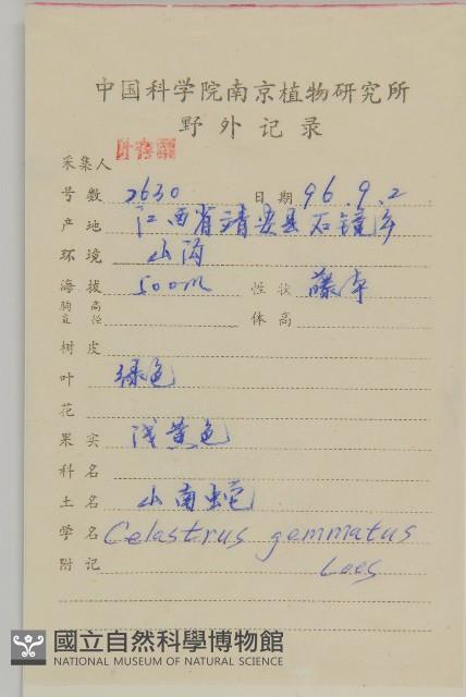 哥蘭葉藏品圖，第2張