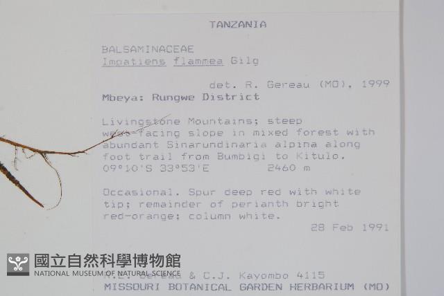 登錄號:S094053藏品圖，第2張