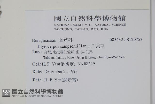 盾果草藏品圖，第2張