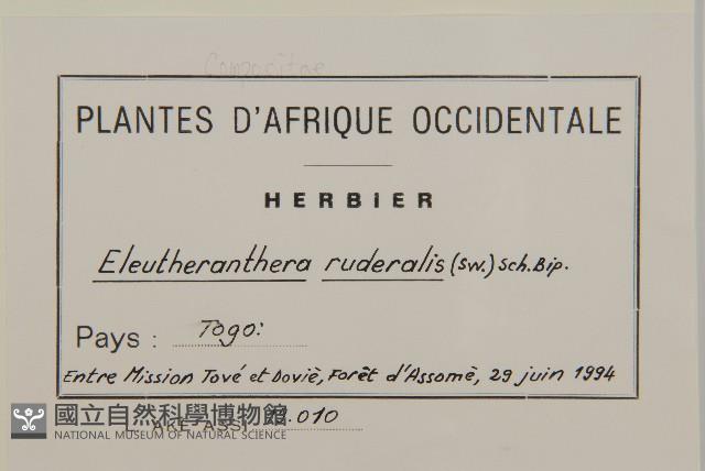 離藥金腰箭藏品圖，第2張